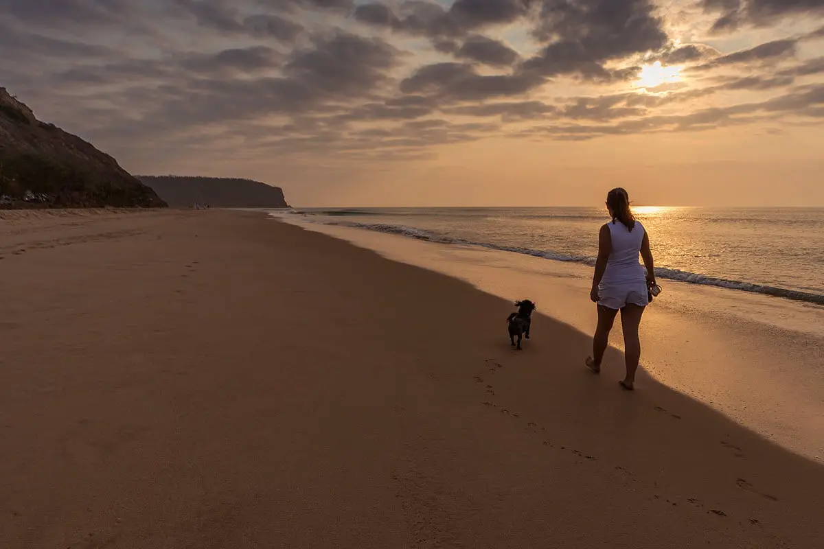 Woman walking dog on the beach - Feature