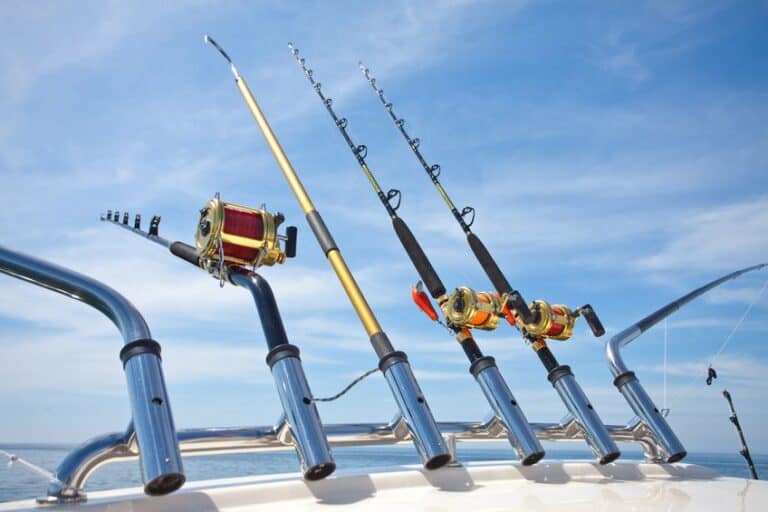 How To Choose The Best Fishing Rod For Saltwater