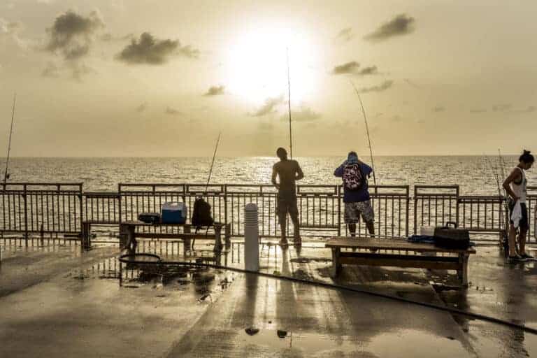 What Saltwater Fish Can You Catch Off Of A Pier?11 min read