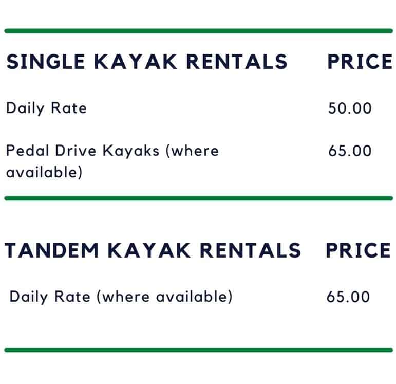 one hour kayak rentals