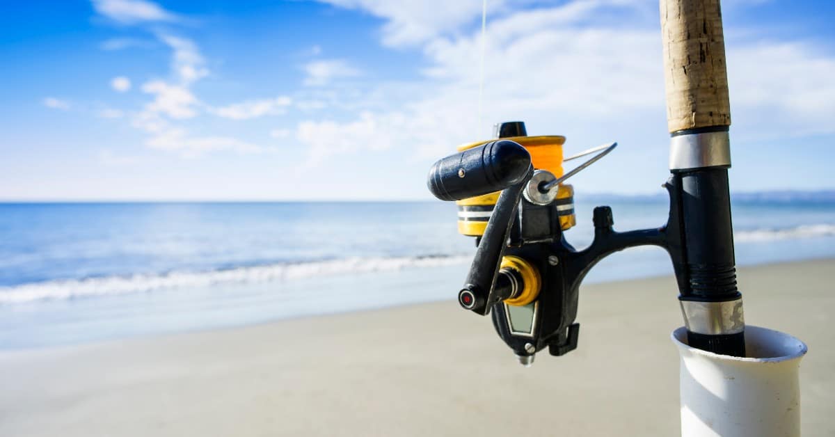 11 Best Spinning Rods For Surf Fishing