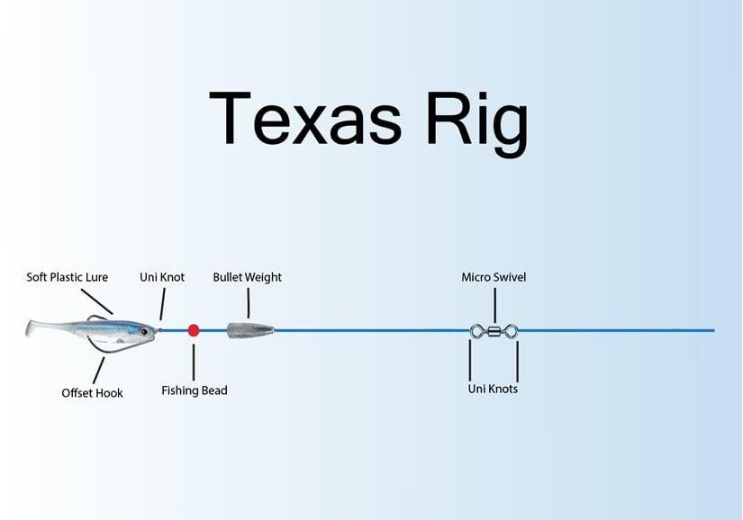Texas Rigs: Master How To Rig And Fish With The Best Lures And Setup