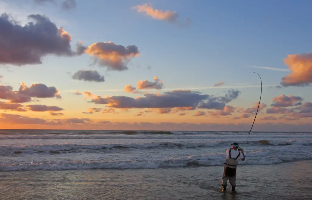 Surf Fishing For Redfish