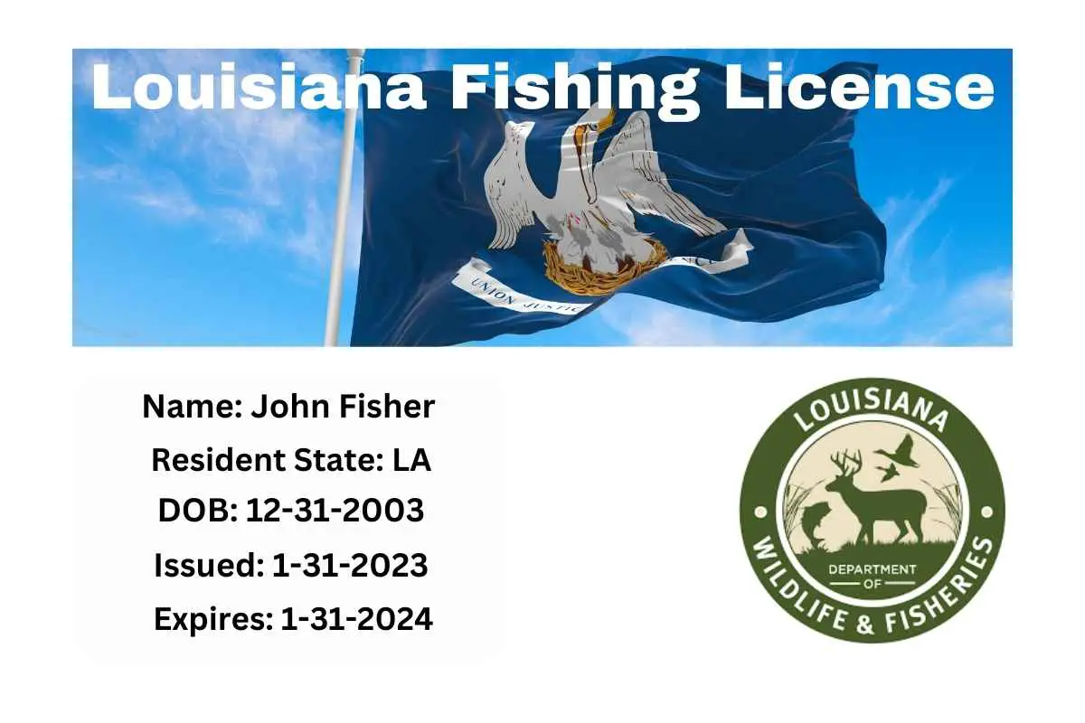 Louisiana Fishing License Online Get Legal in a Few Easy Steps