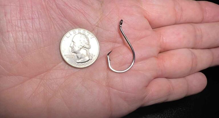 Circle Hook Size Chart: A Comprehensive Guide for Anglers - Active At ...