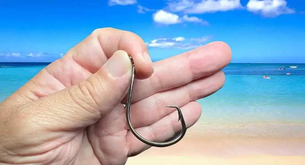 Circle Hook Size Chart: A Comprehensive Guide for Anglers - Active At The  Beach