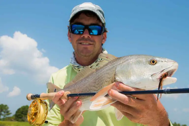 North Carolina Saltwater Fishing Regulations [2023]: Top 47 Game Fish