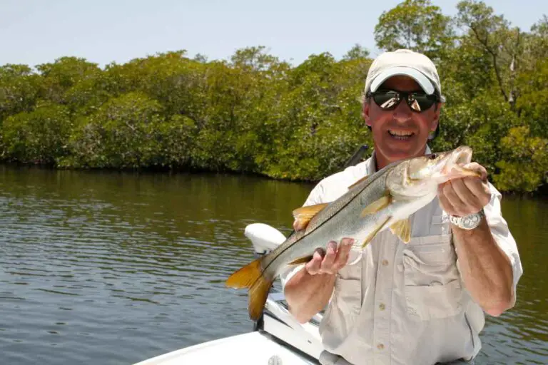 Florida Snook Size Limit: Know the Rules for a Fun Fishing Trip